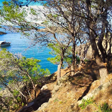 La Ornella - Location Bateau A Quai De Thierry Bourgait Banyuls-sur-Mer