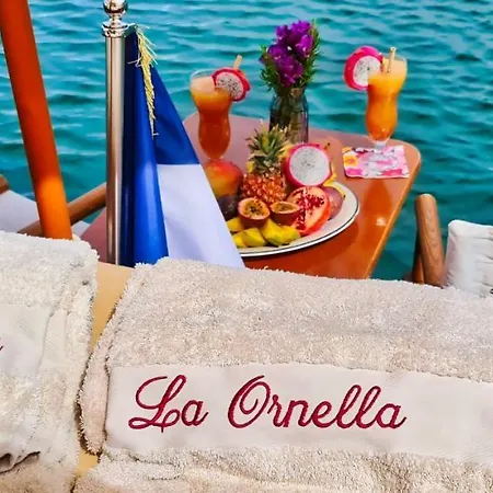 La Ornella - Location Bateau A Quai De Thierry Bourgait *