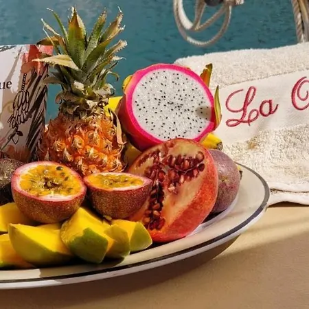 La Ornella - Location Bateau A Quai De Thierry Bourgait Hotel en barco