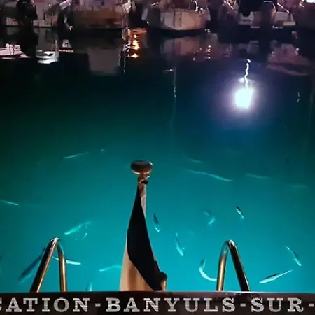 La Ornella - Location Bateau A Quai De Thierry Bourgait * Баньюль-сюр-Мер
