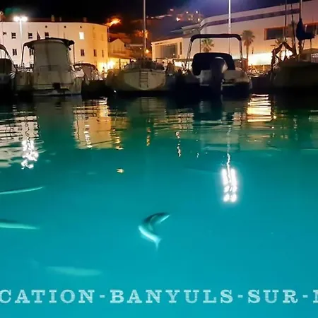 La Ornella - Location Bateau A Quai De Thierry Bourgait Botel