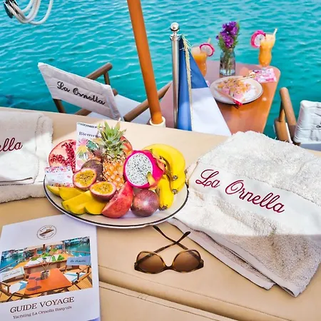 La Ornella - Location Bateau à Quai De Thierry Bourgait *